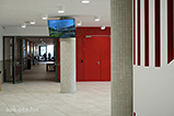DSCF7900.jpg