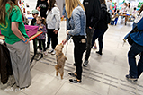 DSCF7515.jpg