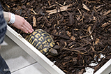 DSCF7539.jpg