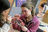 DSCF8049.jpg