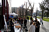 DSCF8145.jpg