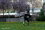 DSCF8204.jpg