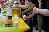 DSCF8180.jpg