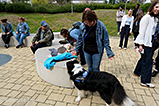 DSCF8280.jpg