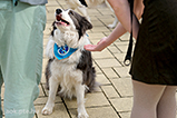 DSCF8285.jpg