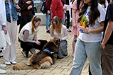 DSCF8304.jpg