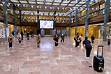 DSCF8495.jpg