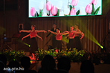 DSCF9354.jpg