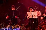 DSCF9423.jpg