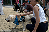 DSCF3040.jpg