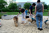 DSCF3053.jpg