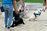 DSCF3060.jpg