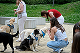DSCF3061.jpg