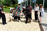 DSCF3075.jpg