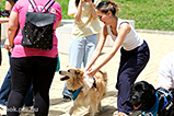 DSCF3080.jpg