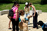 DSCF3082.jpg
