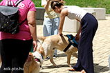 DSCF3083.jpg