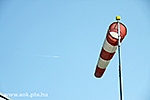 IMG_4356.jpg