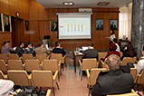 IMG_7884.jpg