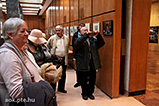 IMG_8511.jpg