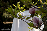 IMG_9501.jpg