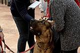 IMG_6416.jpg