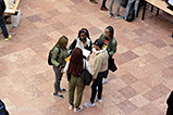 IMG_6443.jpg