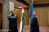 IMG_7155.jpg