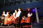 IMG_0260.jpg