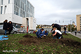 DSCF0113.jpg