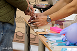 DSCF0452.jpg