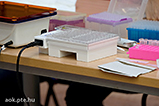 DSCF0454.jpg