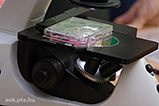 DSCF0466.jpg