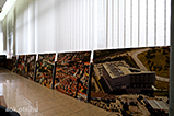 DSCF0600.jpg
