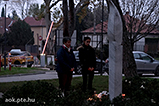 DSCF0729.jpg