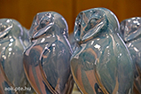 DSCF1392.jpg