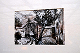 DSCF2803.jpg