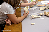 DSCF9446.jpg