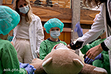 DSCF9510.jpg