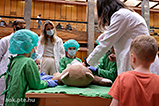 DSCF9511.jpg
