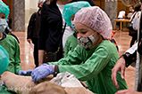 DSCF9513.jpg