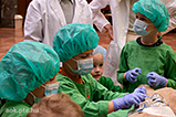DSCF9515.jpg