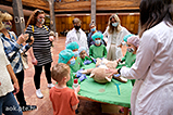 DSCF9516.jpg
