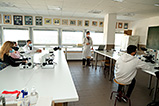 DSCF9533.jpg