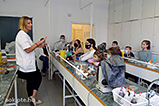 DSCF9587.jpg