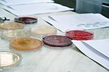DSCF9588.jpg