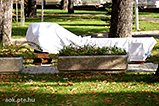 DSCF1648.jpg