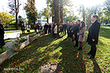 DSCF1663.jpg