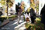 DSCF1682.jpg