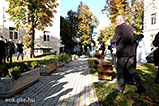 DSCF1685.jpg